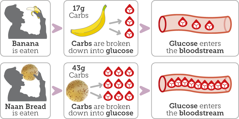 carb counting blood glucose meter